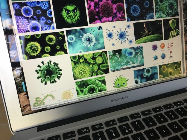 Virus seguro de hogar