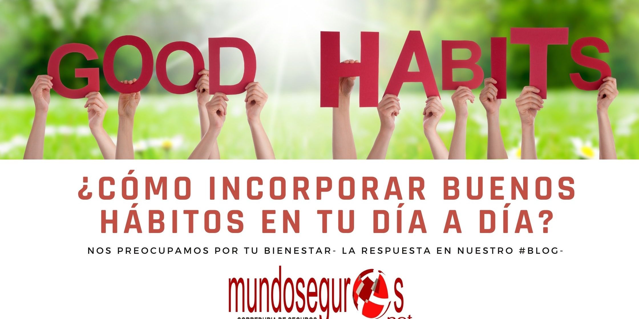 Buenos hábitos con Mundoseguros.net
